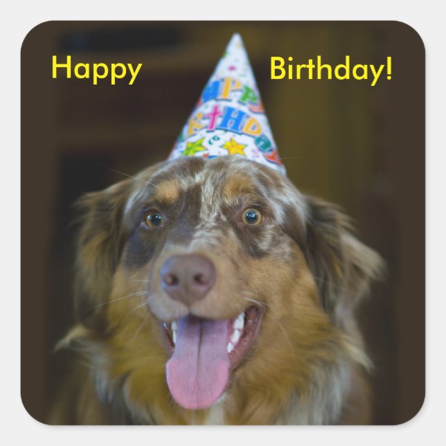 Australian Shepherd Birthday Party Dog Square Sticker (Front)