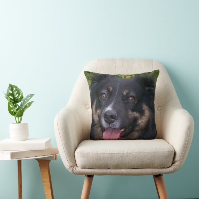 australian shepherd black tri cushion (Chair)
