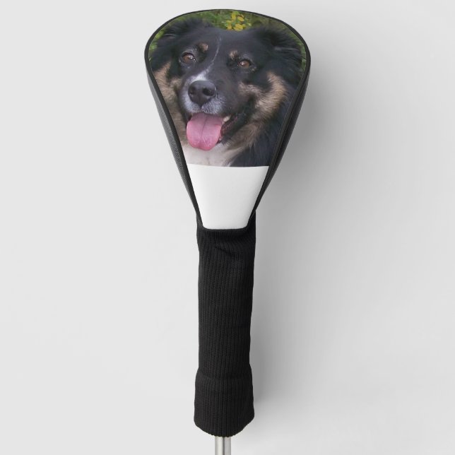 australian shepherd black tri golf head cover (Front)