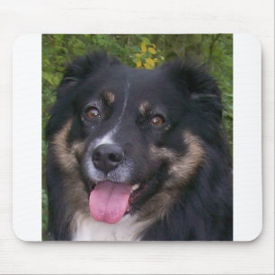 australian shepherd black tri mouse pad