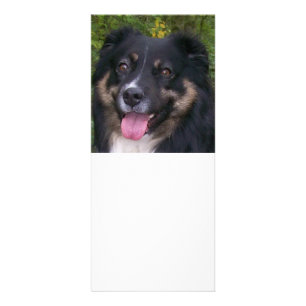 australian shepherd black tri rack card