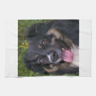australian shepherd black tri tea towel