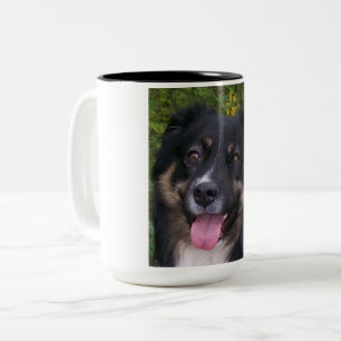 australian shepherd black tri Two-Tone coffee mug
