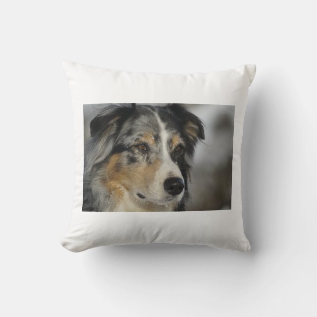 australian-shepherd-blue merle 2.png cushion (Front)