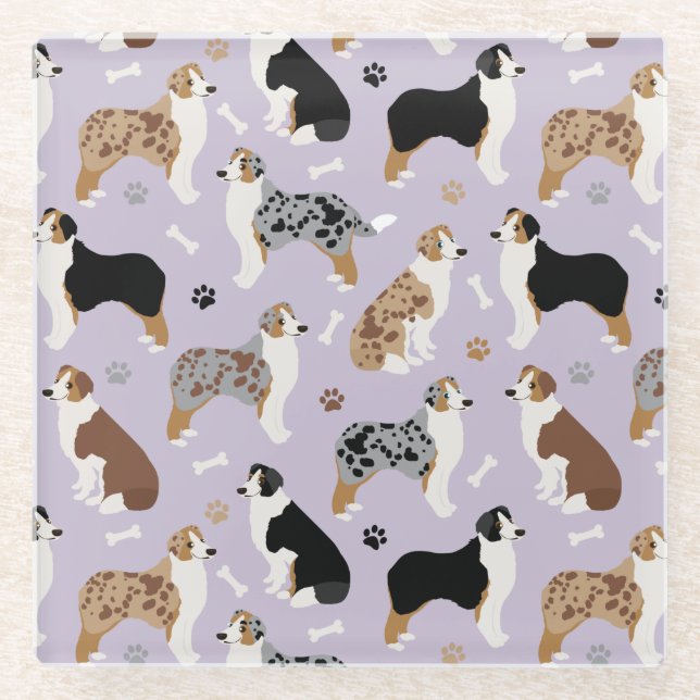 Australian Shepherd Bones and Paws Glass Coaster (Front)