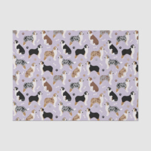 Australian Shepherd Bones and Paws Tissue Paper