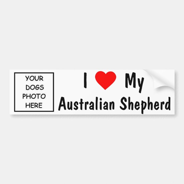 Australian Shepherd Bumper Sticker (Front)