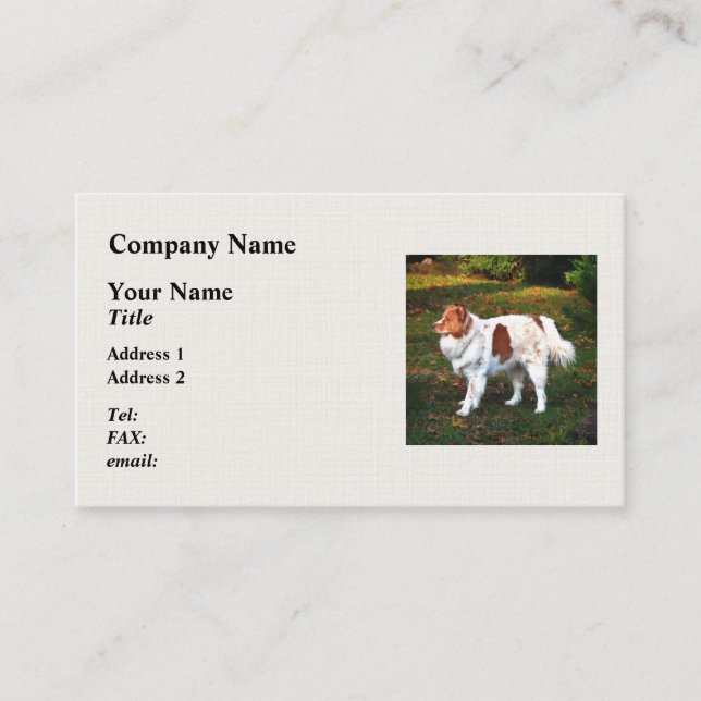 Australian Shepherd Business Card (Front)