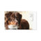 Australian Shepherd business cards