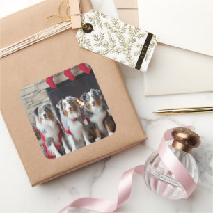 Australian Shepherd by the Fireplace Christmas Square Sticker