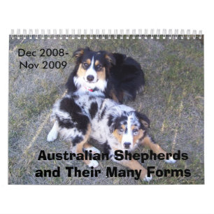 Australian Shepherd Calendar