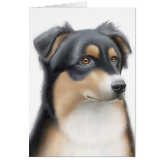 Australian Shepherd Card