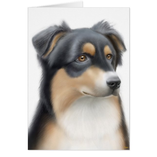 Australian Shepherd Card (Front)