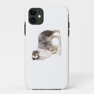 Australian Shepherd iPhone 11 Case