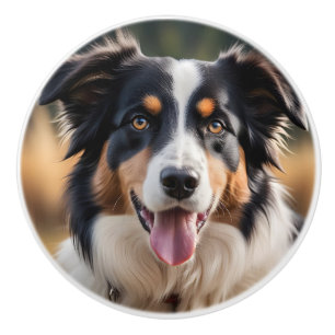Australian Shepherd Ceramic Cute Dog Knob