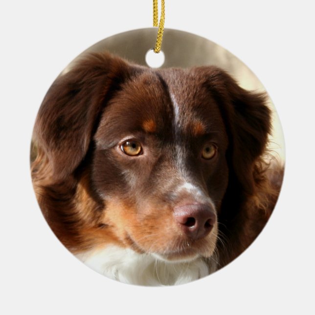 Australian Shepherd Ceramic Ornament (Front)