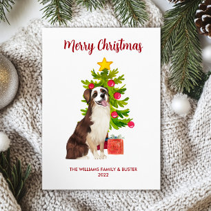 Australian Shepherd Christmas Card