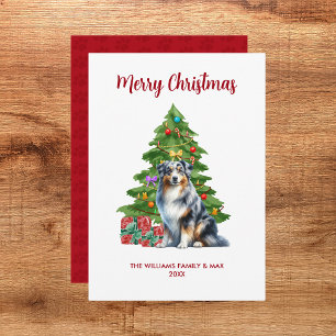 Australian Shepherd Christmas Card
