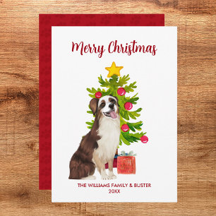 Australian Shepherd Christmas Card