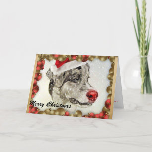 Australian Shepherd Christmas Card
