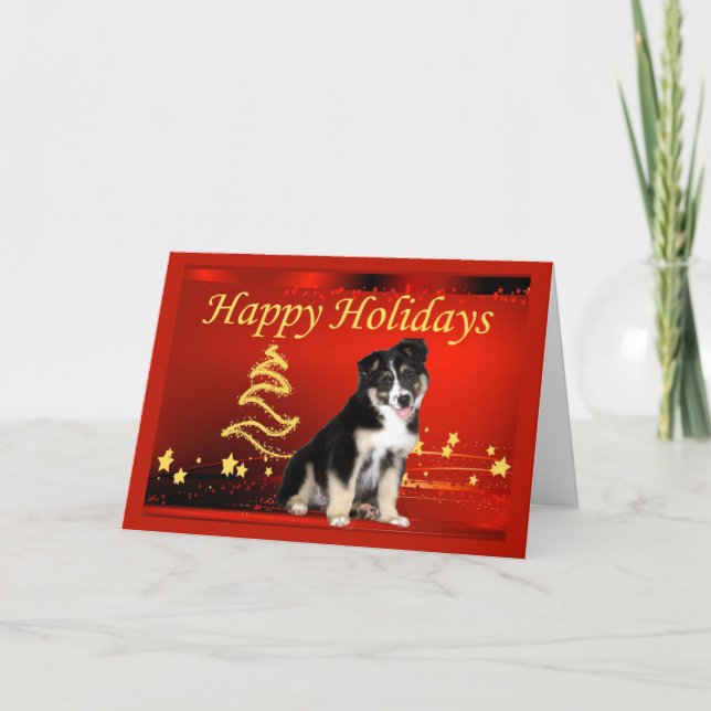 Australian Shepherd Christmas Card Stars (Front)