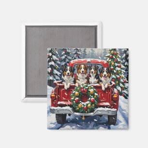 Australian Shepherd Christmas Red Truck Holiday Magnet