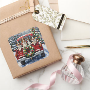 Australian Shepherd Christmas Red Truck Holiday Square Sticker