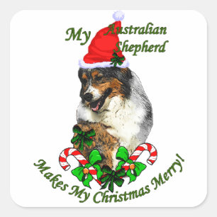 Australian Shepherd Christmas Square Sticker