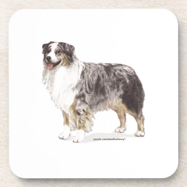 Australian Shepherd Coaster (Front)