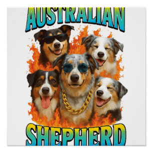 Australian Shepherd Copy Poster