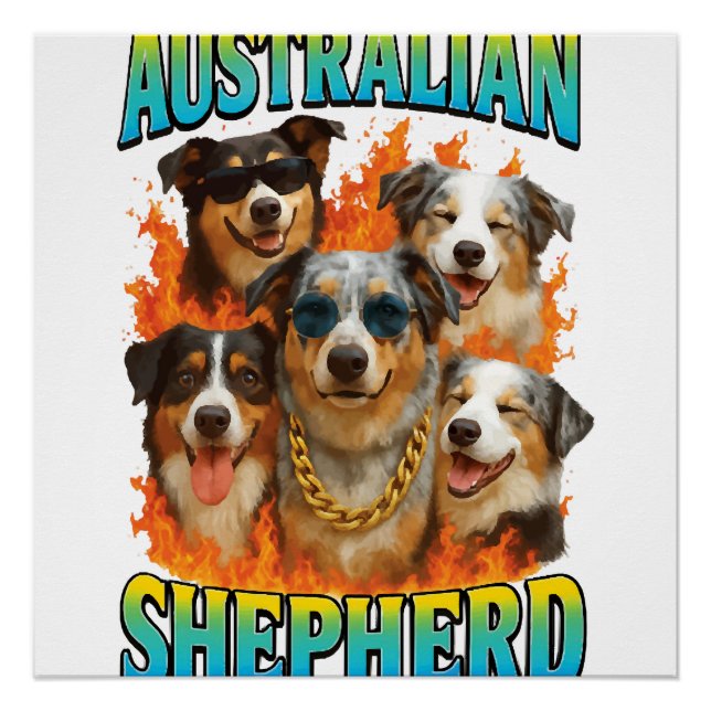 Australian Shepherd Copy Poster (Front)
