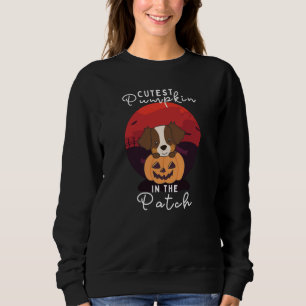 Australian Shepherd cutest pumpkin in the patch Sweatshirt