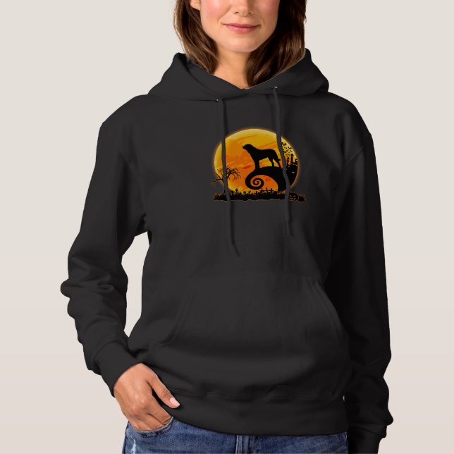 Australian Shepherd Dog And Moon  Halloween Costum Hoodie (Front)