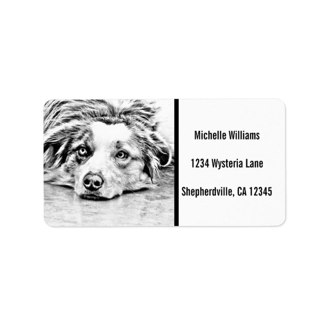 Australian Shepherd dog art Label (Front)