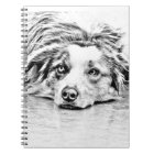 Australian Shepherd dog art