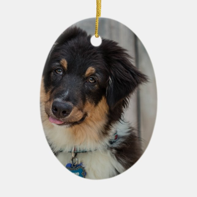 Australian Shepherd Dog Ceramic Tree Decoration (Front)