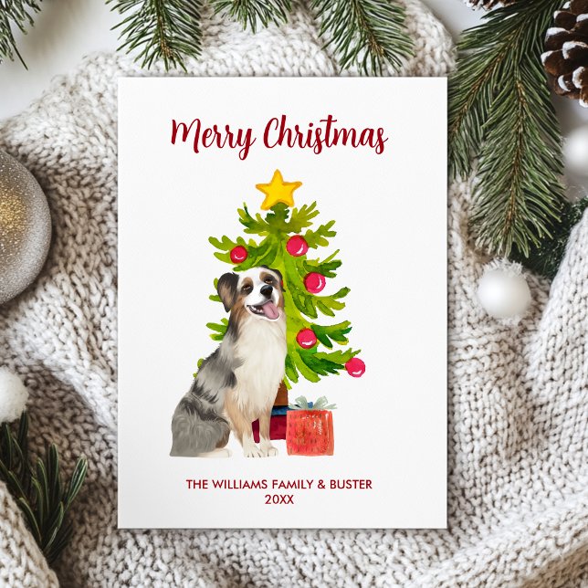 Australian Shepherd Dog Family Christmas Holiday Card (Creator Uploaded)