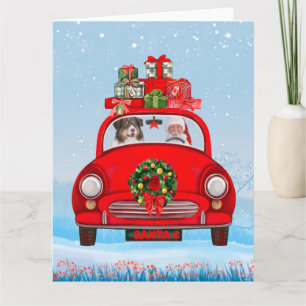 Australian Shepherd Dog In Car With Santa Claus  Card