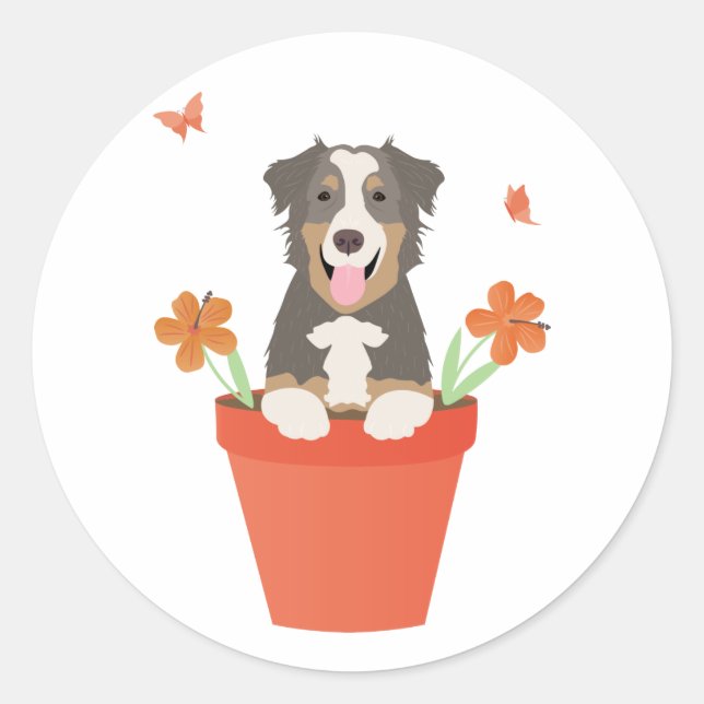 Australian Shepherd Dog In Flower Pot Classic Round Sticker (Front)