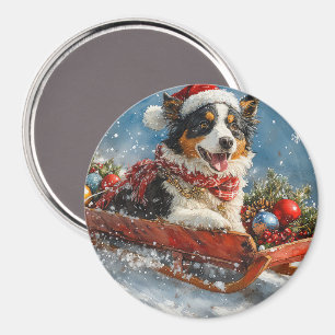 Australian Shepherd Dog in Sledge Chriistmas Magnet