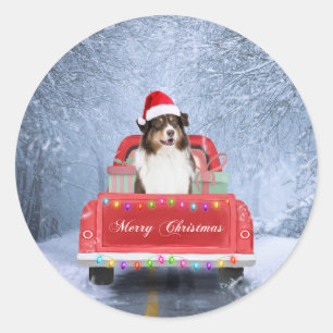 Australian Shepherd Dog in Snow Christmas  Classic Round Sticker