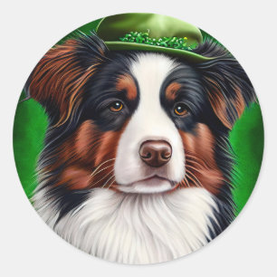 Australian Shepherd dog in St. Patrick's Day Dress Classic Round Sticker