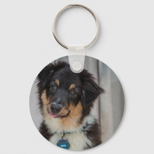 Australian Shepherd Dog Key Ring