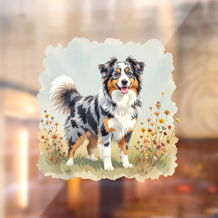 Australian Shepherd Dog Merle Long Tail