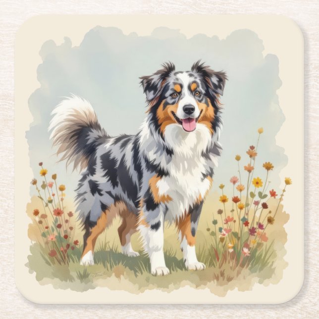 Australian Shepherd Dog Merle Long Tail Square Paper Coaster (Front)