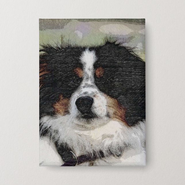 Australian shepherd, Dog, Nature (Front)