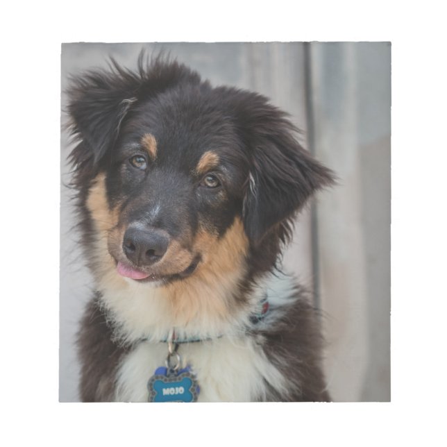 Australian Shepherd Dog Notepad (Front)