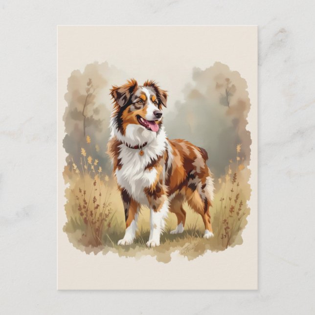 Australian Shepherd Dog Red Merle Aussie Postcard (Front)