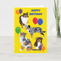 Australian Shepherd Dogs and Balloons Birthday