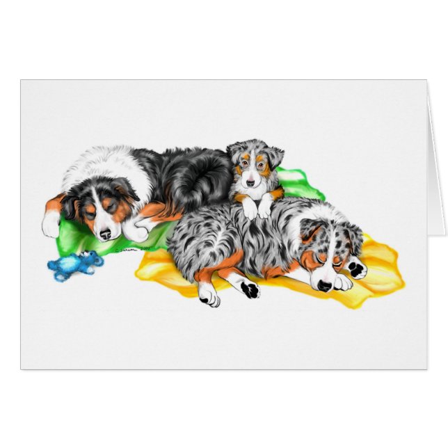 Australian Shepherd Family Nap (Front Horizontal)